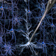 Illustration for article titled Scientists develop robot that scans information directly from neurons